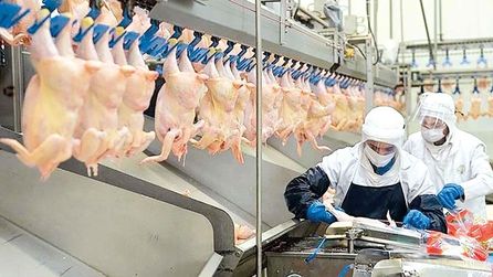 12 ilde beyaz et sektörü için büyük operasyon gerçekleştirildi