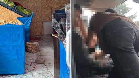 Kumru'da bıçaklama olayı: Bir ölü, bir yaralı