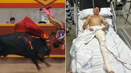 Madrid'de matador Tomás Angulo boğa saldırısında ağır yaralandı