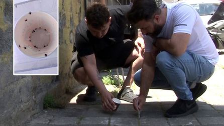 Sarıyer'de Kene Sorunu Artıyor, Mahalle Sakinleri Önlem Alıyor