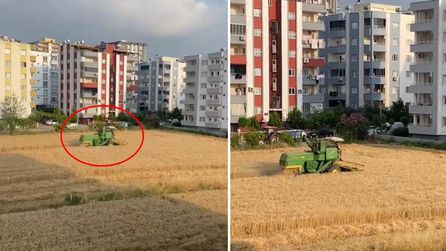 Osmaniye'de Tarım Arazisi Betonlaşmaya Karşı Korundu