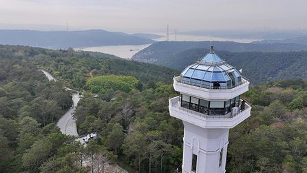 İstanbul'da Ormanlık Alanlara Giriş Yasağı Uygulanacak