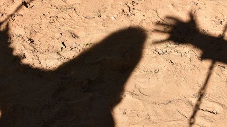Telford'da genç kadına cinsel saldırı olayı yaşandı