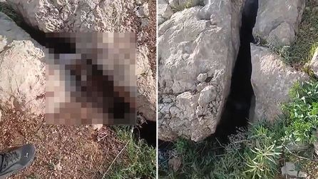 Elazığ ve Tunceli sınırında altın ararken karşılaştıkları keçi