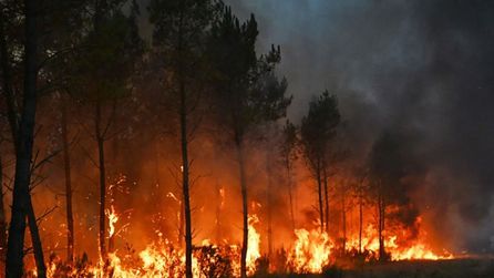 Türkiye Fransa'ya yangın söndürme uçağı gönderdi