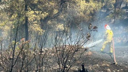 Balıkesir Altıeylül'de yangın kontrol altına alındı