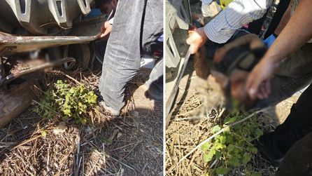 Traktörün devrilmesi sonucu sürücü itfaiye tarafından kurtarıldı