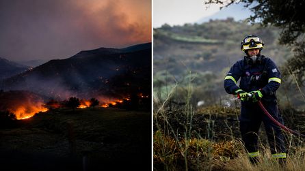 Yunanistan'da Orman Yangınları: 3 İtfaiyeci Hayatını Kaybetti