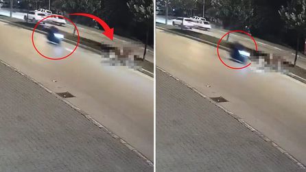 Düzce'de motosiklet inekle çarpıştı, inek hayatını kaybetti