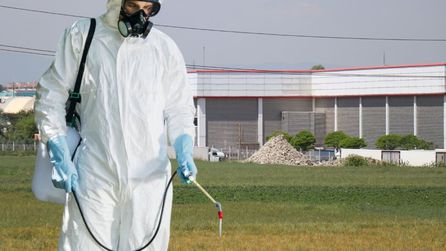 Bolu'daki Beypiliç kesimhane ilaçlama sırasında 34 işçi zehirlendi