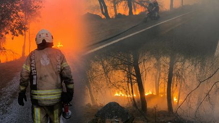 Yangınlar nedeniyle karayolu kapatıldı, müdahale devam ediyor