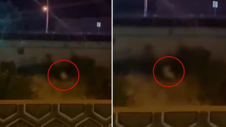 İstanbul'da yeşil alanlarda uygunsuz davranışlar kaydedildi