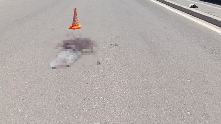 Gaziantep'te boşanma aşamasındaki kadına silahlı saldırı