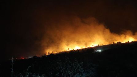 İzmir Menemen'de makilik alanda yangın çıktı, müdahale devam ediyor