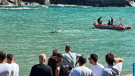 \"Hey gidi Karadeniz\" paylaşımından sonra kahreden son