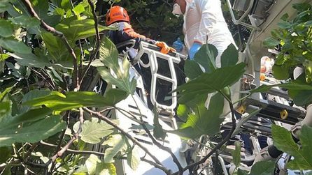 Hatay'da ağaçta asılı cesedin kimliği belirlendi