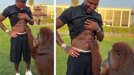 Ricardo Quaresma'nın orangutan ile ilginç buluşması