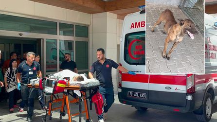 Karaman'da köpek saldırısında 3 yaşındaki çocuk ağır yaralandı