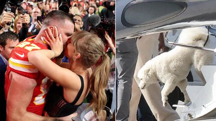 Taylor Swift ve Travis Kelce'nin yeni köpeği Florida'da dikkat çekti