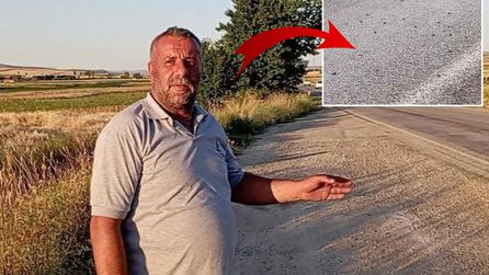 Tokat'ta binlerce kurbağa yolda geçiş yaptı, sürücüler şaşırdı