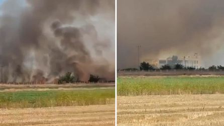 Şanlıurfa'da Aileler Arasında Arazi Anlaşmazlığı Çatışmaya Dönüştü