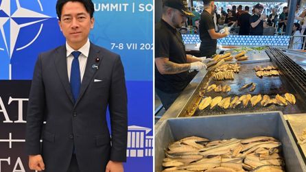 İstanbul'a doyamadı: Japon bakandan 'uskumru' paylaşımı