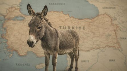 Tarım Bakanlığı gıda güvenliği için güncel listeyi yayımladı