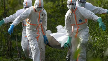 Nijerya'da Kolera Salgını: 14 Kişi Hayatını Kaybetti