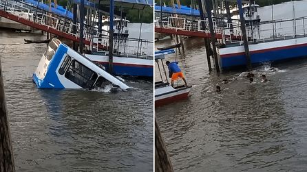 Brezilya'da otobüs nehre düştü, kurtarma çalışmaları başladı