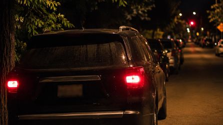 Colorado'da Gece Boyu Korna Çalan SUV'deki Ayı Şaşırttı