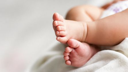 Fransa'da korkunç olay; kutularda bebek cesetleri bulundu