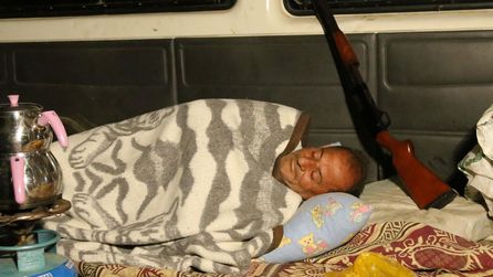 Taşköprü sarımsağı hasadı devam ediyor, çiftçiler nöbet tutuyor