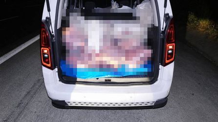 Mersin'de irsaliyesiz hayvan sakatatı ele geçirildi