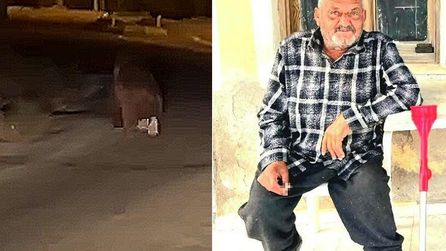 İzmir'de balkonda uyuyan adama ayı saldırdı, yaşamını yitirdi