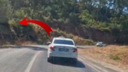 Marmaris'te izmarit atan sürücü yakalandı, adli işlem başlatıldı