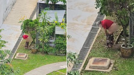 Singapur'da yaşlı adamın bahçede tuvaletini yapması sosyal medyada tartışma yarattı