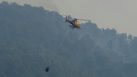 İspanya'da orman yangını nedeniyle 11 kişi yaşamını yitirdi
