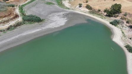 Edirne'de gölette elektrik verilmesi sonucu balık ölümleri yaşandı