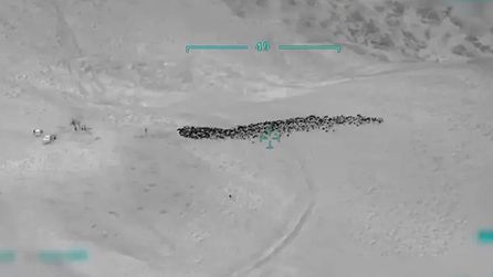 Van'da 800 küçükbaş hayvan yağmalandı, 4 şüpheli yakalandı