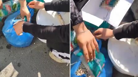 Konya'da gıda sahteciliği videosu sosyal medyada yayıldı