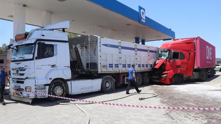 Denizli'de arı sokması sonucu TIR akaryakıt istasyonuna girdi