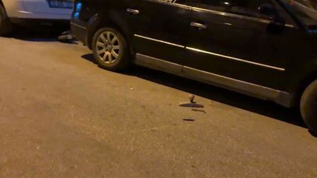 Eskişehir'de Gece Kavgası: Kapı Kolu ve Saat Bıraktılar