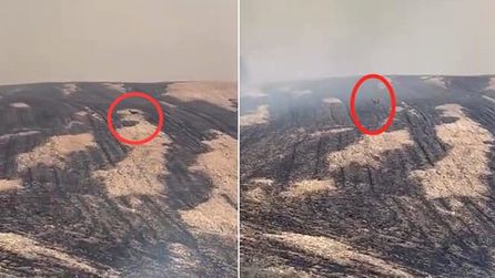 Çanakkale'de çıkan yangına müdahale sürüyor