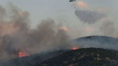 Malatya'da Orman Yangınına Hava ve Kara Müdahale Ediliyor