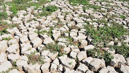Marmara Gölü'ndeki Su Seviyesi Artışı Ekosistemi Canlandırdı
