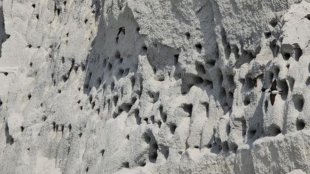 Kırlangıçlar Yozgat'taki İnşaat Alanında Yuvalandı