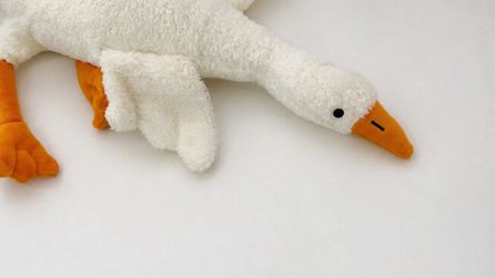 Ticaret Bakanlığı peluş kaz oyuncaklarını toplatacak