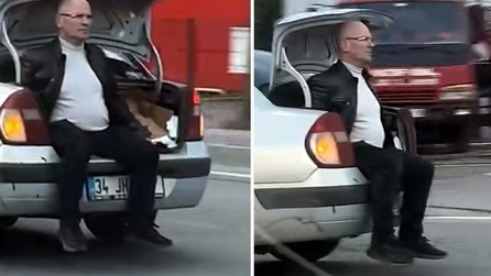 Yaralı kedi için hastaneye götürülen yolculuk kameralara yansıdı