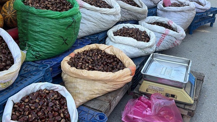Kestane tezgahlarda yerini aldı, Bolu'da satışlar başladı