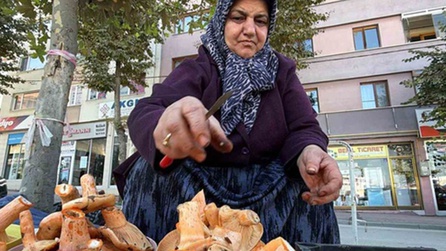 Bolu'da kanlıca mantarı sezonu başladı, fiyatı 600 liraya yükseldi